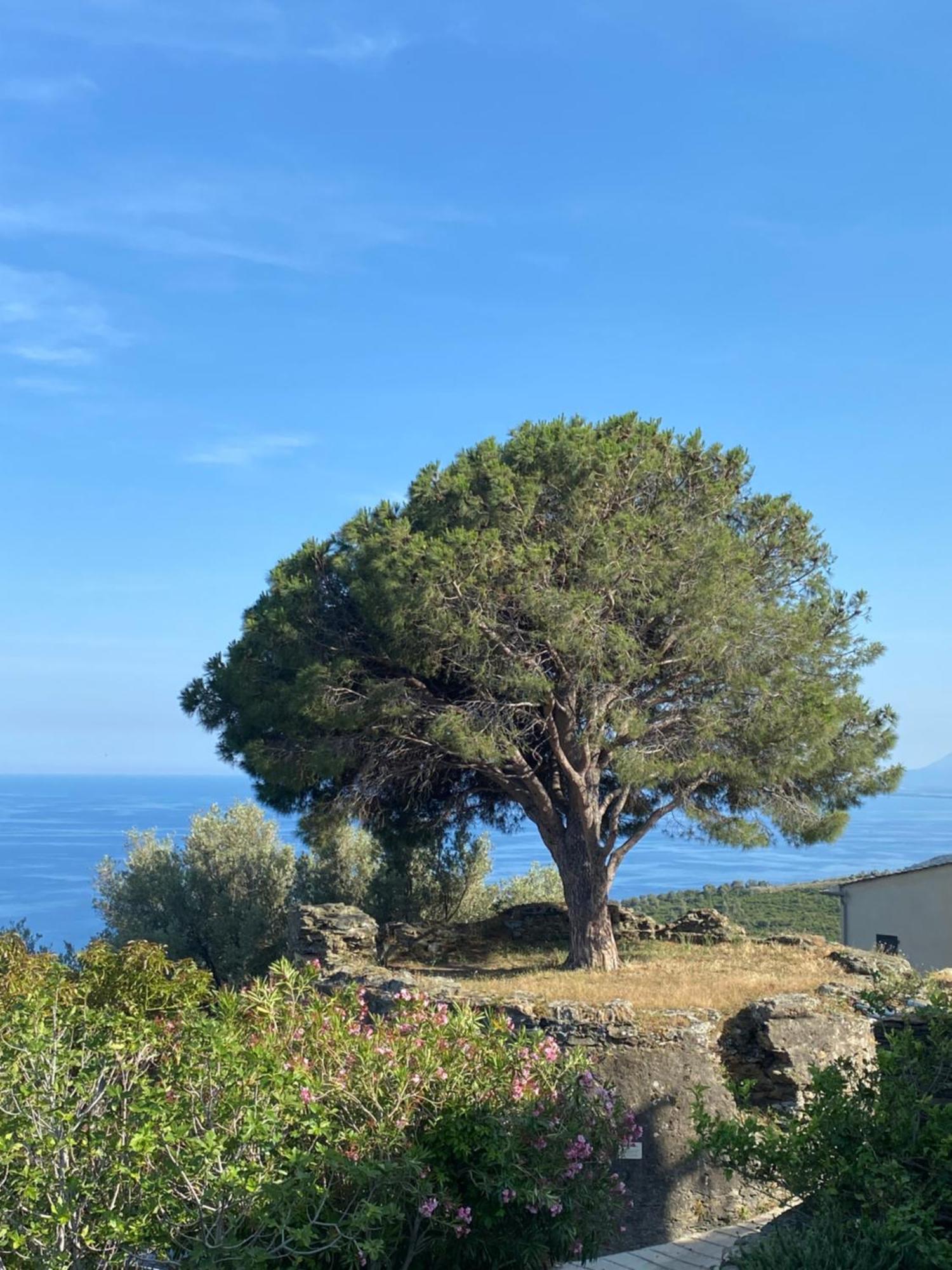 Apartmán A Macina Brando Exteriér fotografie